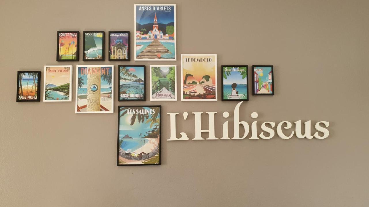L'Hibiscus Piscine Et Plage 상트루스 외부 사진